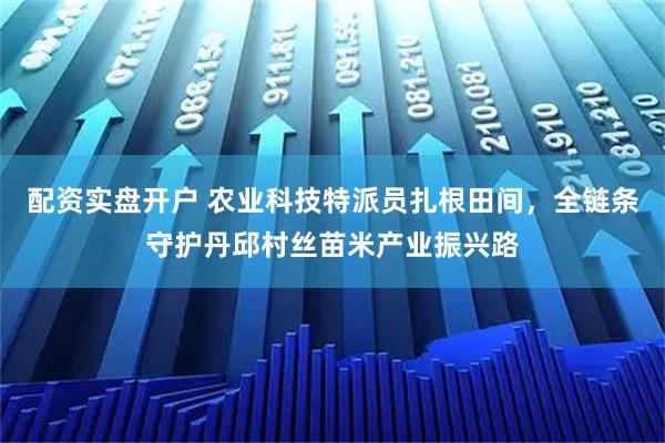 配资实盘开户 农业科技特派员扎根田间，全链条守护丹邱村丝苗米产业振兴路