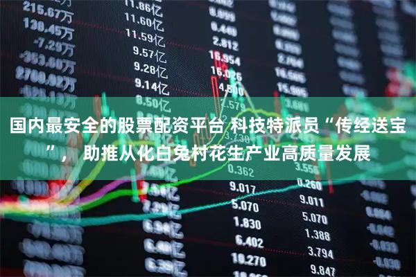 国内最安全的股票配资平台 科技特派员“传经送宝”， 助推从化白兔村花生产业高质量发展